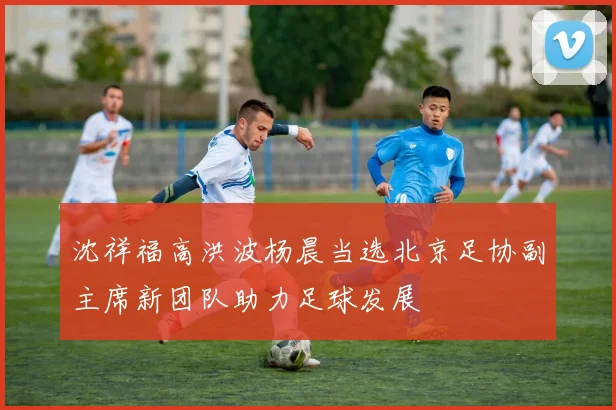 沈祥福高洪波杨晨当选北京足协副主席新团队助力足球发展